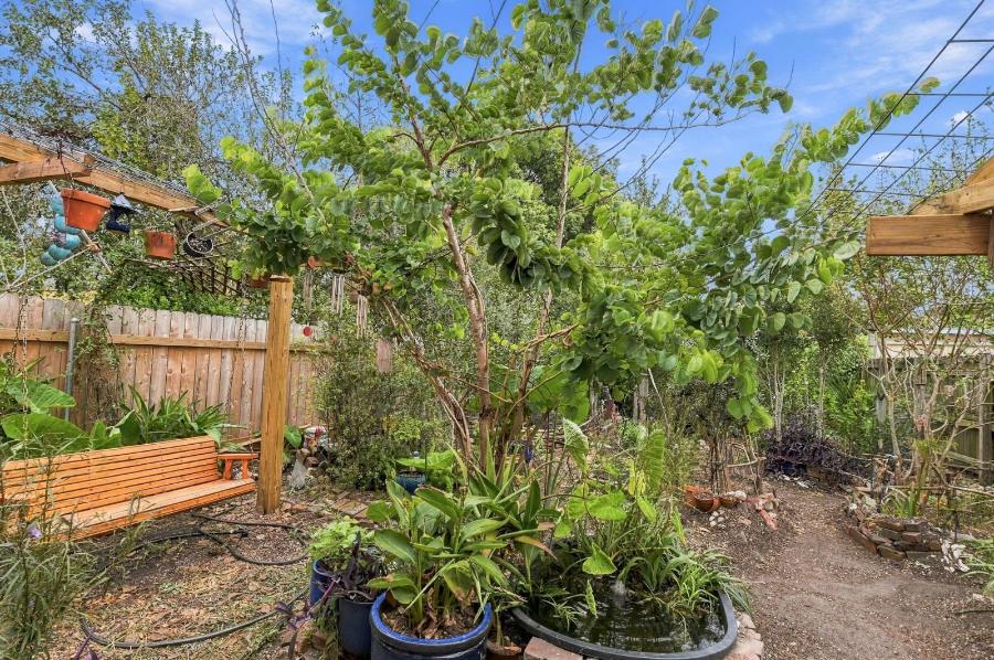 Shared backyard garden with a wooden swing and potted plants